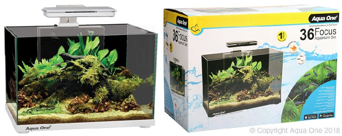 Aqua One Focus 36 Glass Aquarium 36L White 50cm L x 25cm D x 34cm