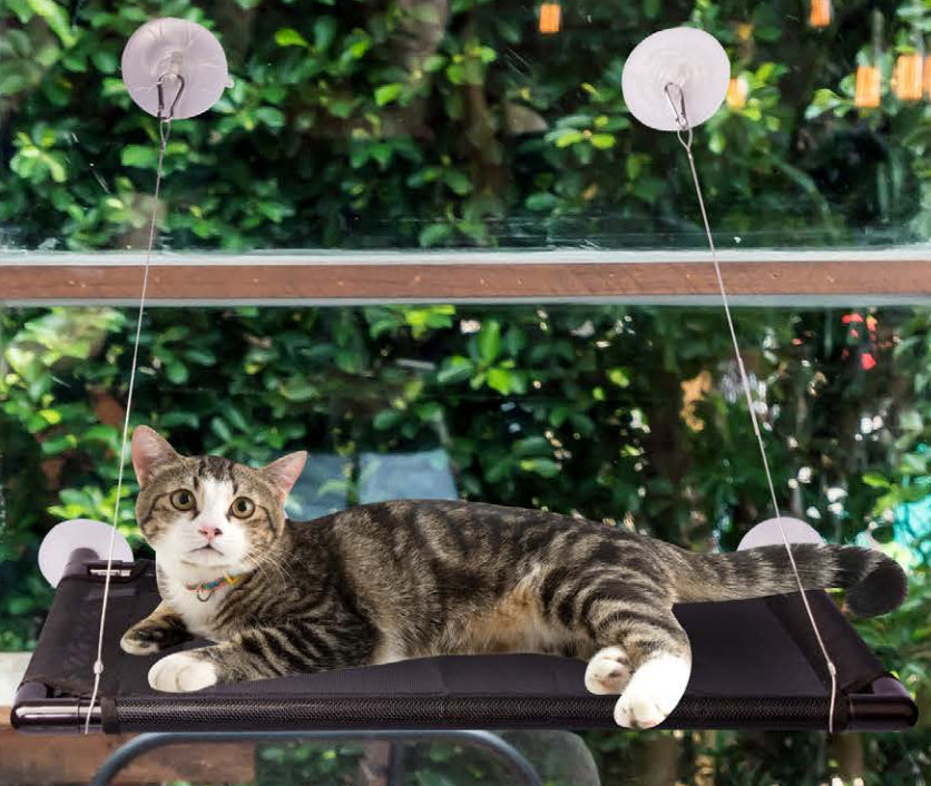 Pet One Cat Window Hammock