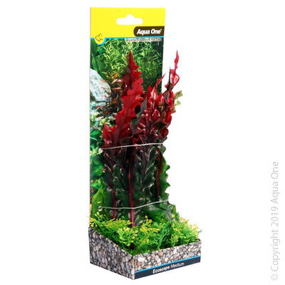 Aqua One Ecoscape Medium Ruffled Lace Plant Red