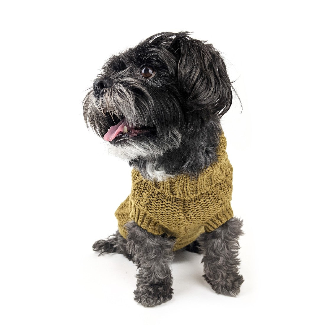 Huskimo Dog Jumper Frenchknit Chartreuse