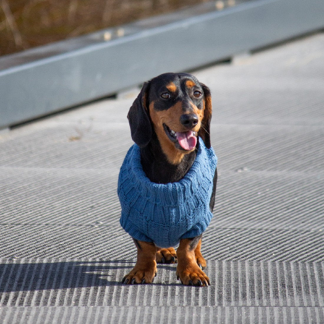 Huskimo Dog Jumper Frenchknit Indigo Blue