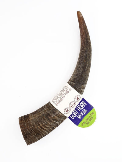 Wag Goat Horn Medium