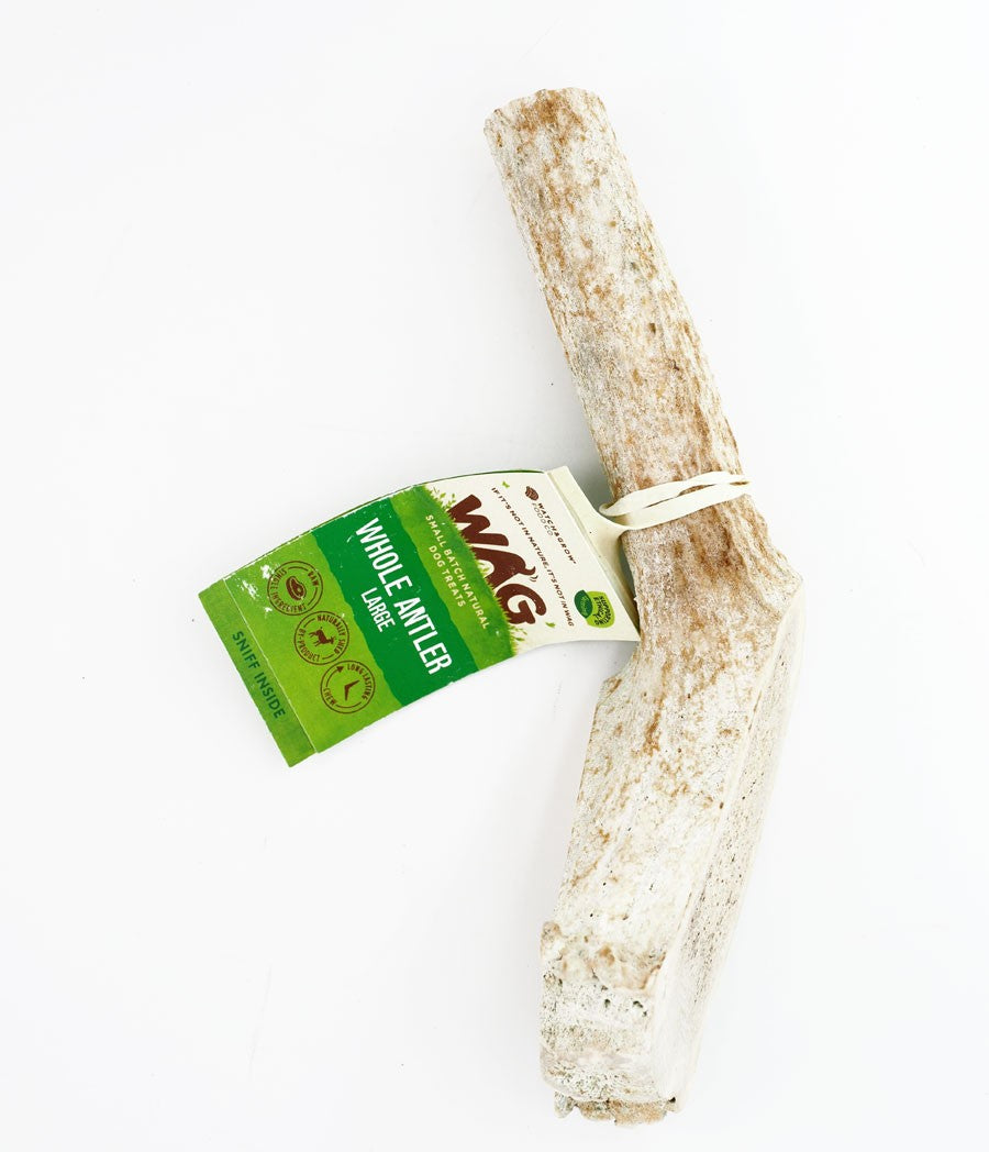 Wag Deer Antler Large