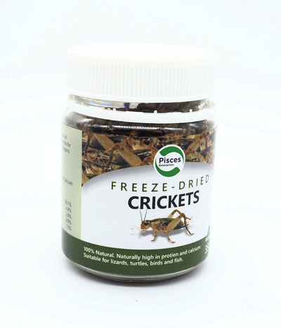 Pisces Freeze Dried Crickets Jar 40G