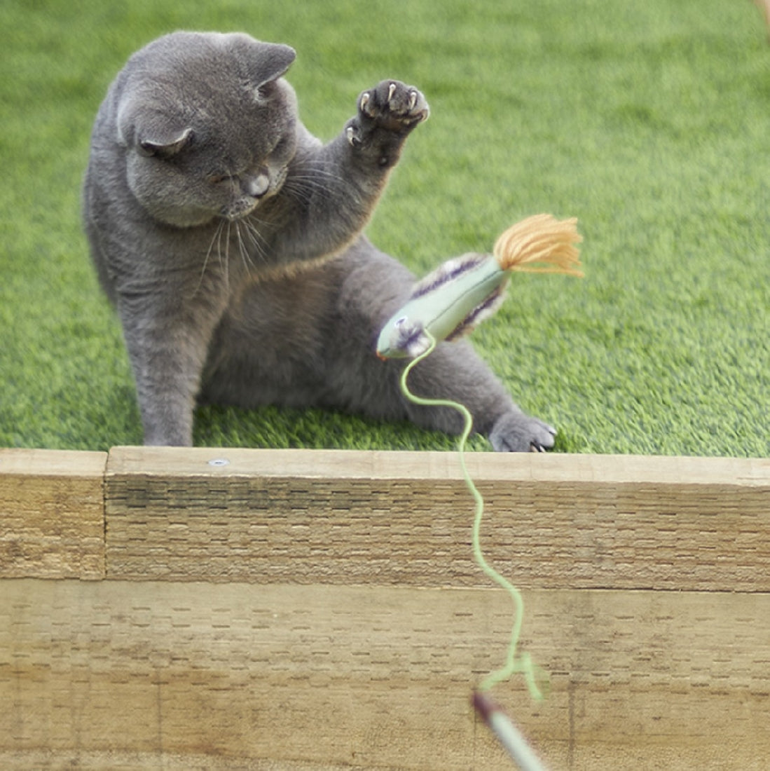 Kazoo Cat Toy Fantail Bird Wand