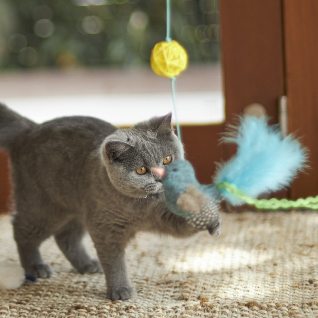 Kazoo Cat Toy Bluebird Wand