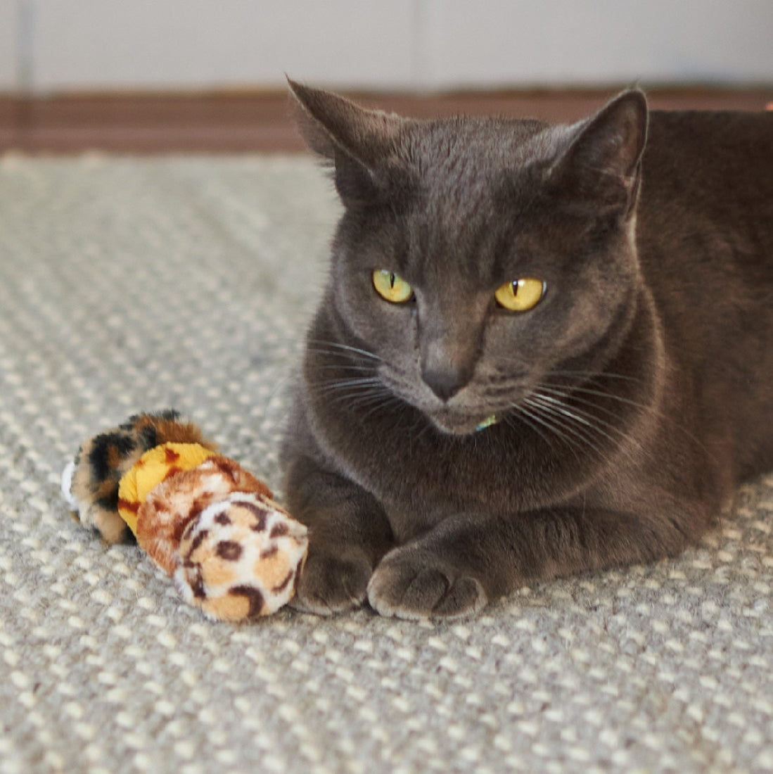 Kazoo Cat Toy Velcro Worm