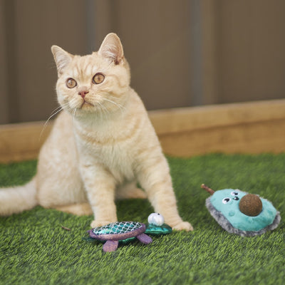 Kazoo Cat Toy Playful Avocado