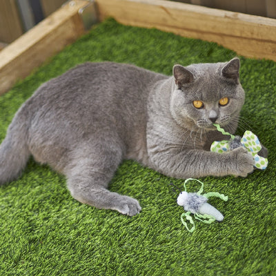 Kazoo Cat Toy Flutterby