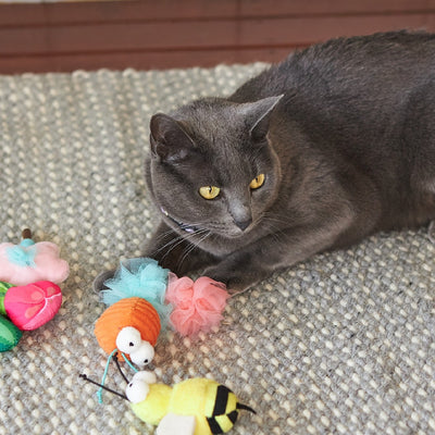 Kazoo Cat Toy Garden Treats