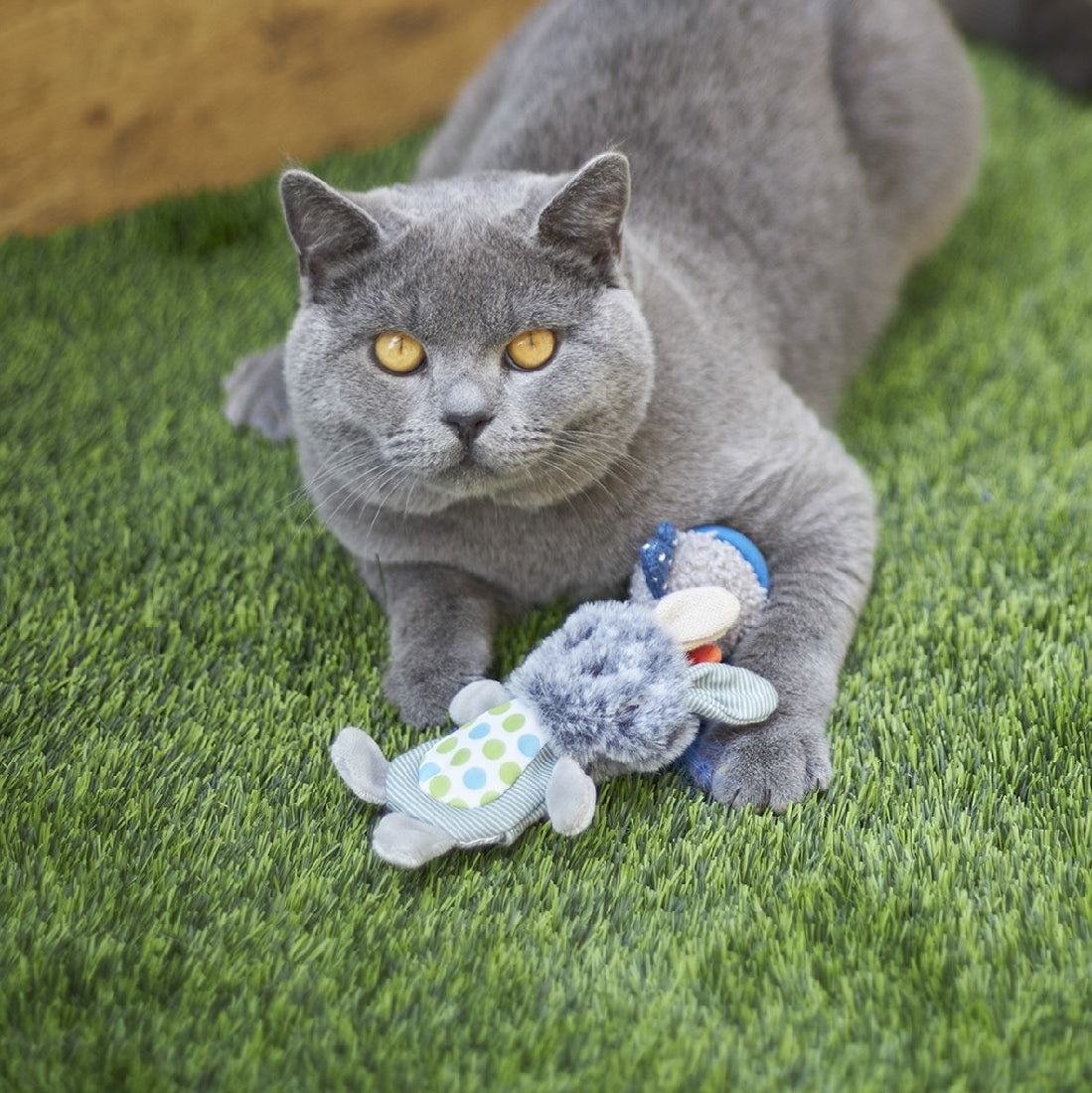 Kazoo Cat Toy Grumpy Rabbit