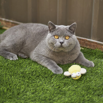 Kazoo Cat Toy Noisy Busy Bee