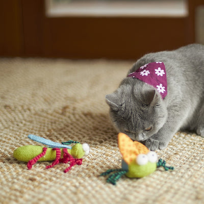 Kazoo Cat Toy Crinkle Bug