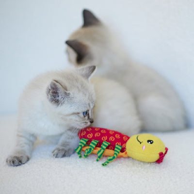 Kazoo Cat Toy Crinkle Ladybug