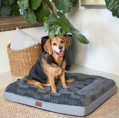 Kazoo Dark Cloud Comfort Bed Small Grey / Black