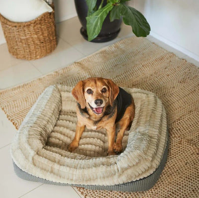 Kazoo Honey Possum Bed - Medium