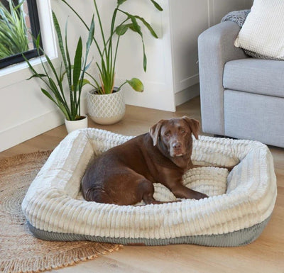 Kazoo Honey Possum Bed - Large