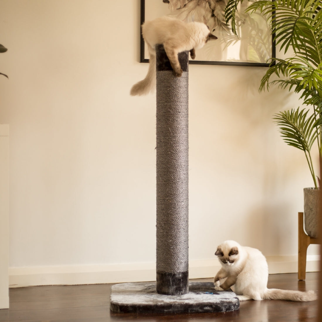 Kazoo Scratch Post - Large Charcoal & Grey