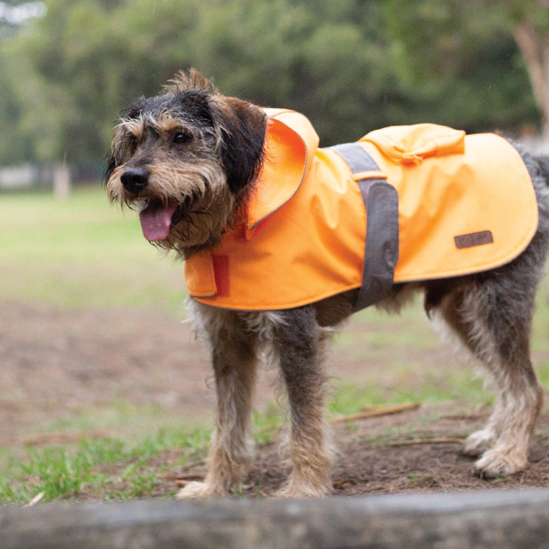 Kazoo Rainy Days Coat Neon Orange