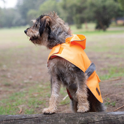 Kazoo Rainy Days Coat Neon Orange