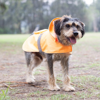 Kazoo Rainy Days Coat Neon Orange