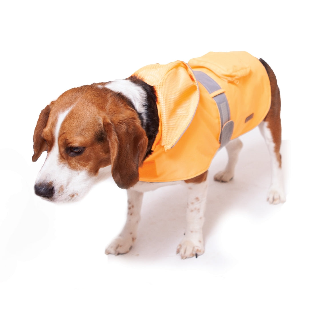 Kazoo Rainy Days Coat Neon Orange