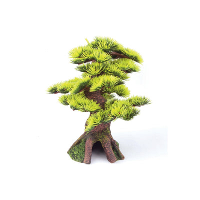 Kazoo Bonsai Small