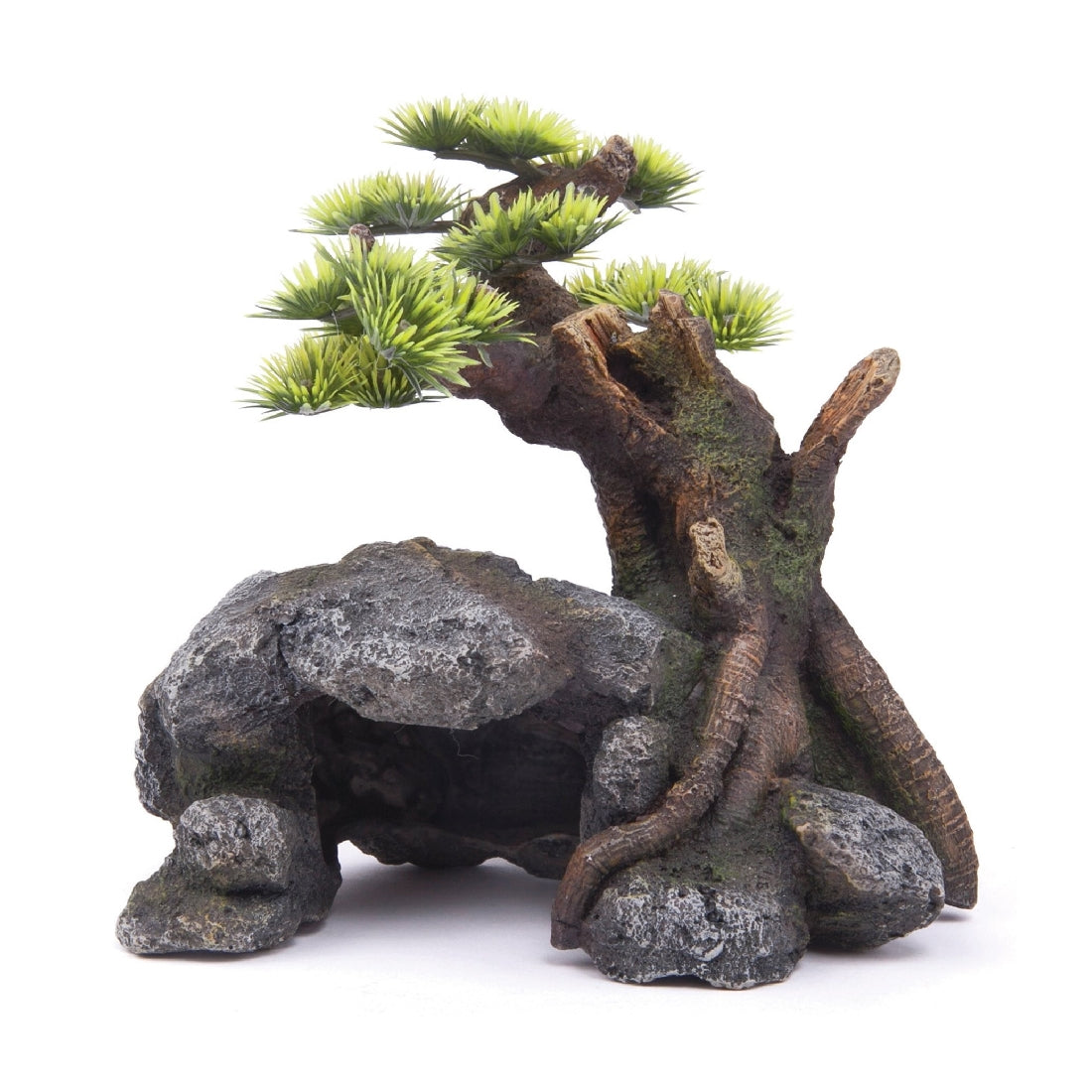 Kazoo Bonsai with Cave & Plants - Medium