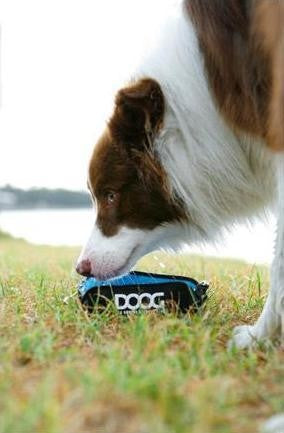 Doog Foldable Water Bowl