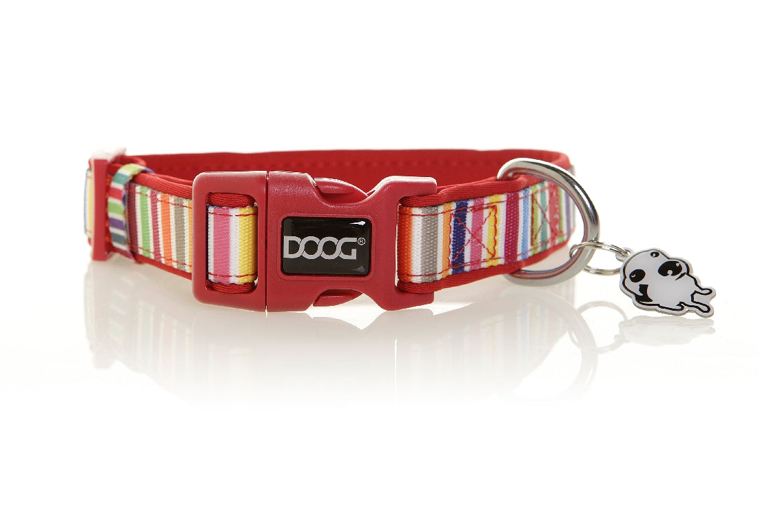 Doog Scooby Collar Rainbow Striped