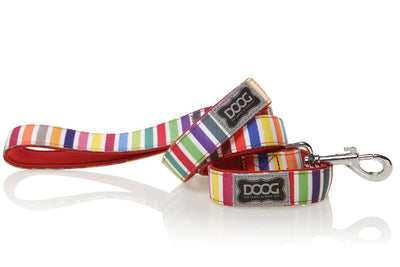 Doog Scooby Lead Rainbow Striped