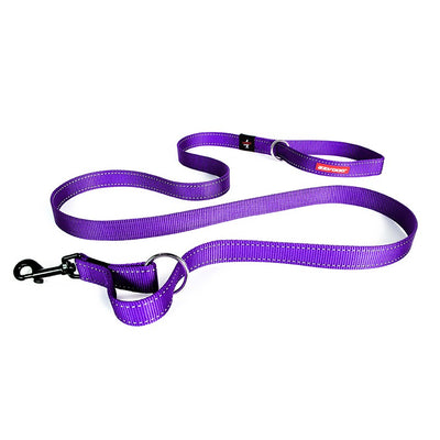 Ezy Dog Leash Vario 4 25 S Purple