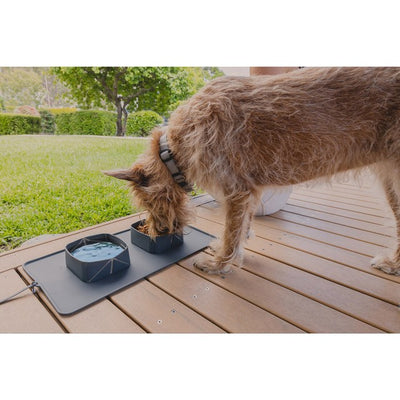 Ezy Dog Roll-A-Bowl Charcoal