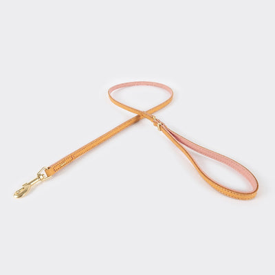 Ezy Dog Leash Oxford 48 LITE Blush