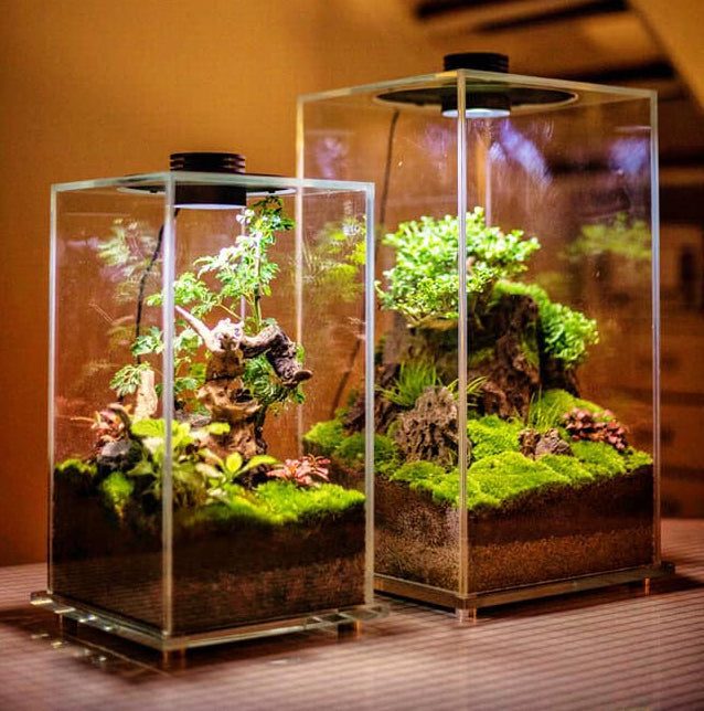 Bioscape Moss Terrarium 270 Square